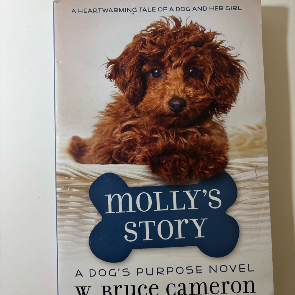 Molly's Story: A Heartwarming Dog Tale